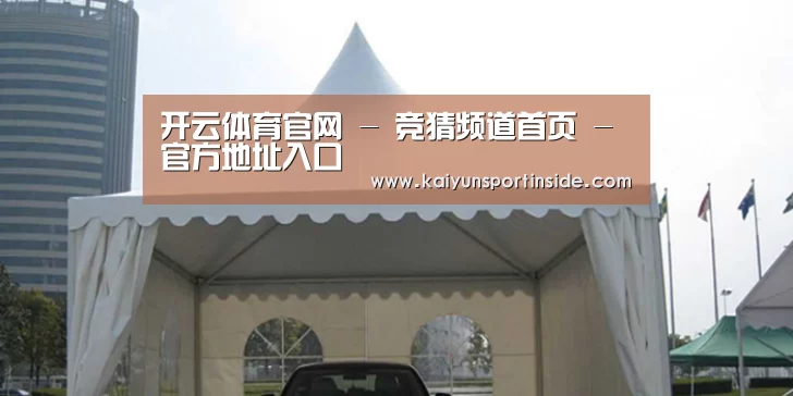 案例标题八