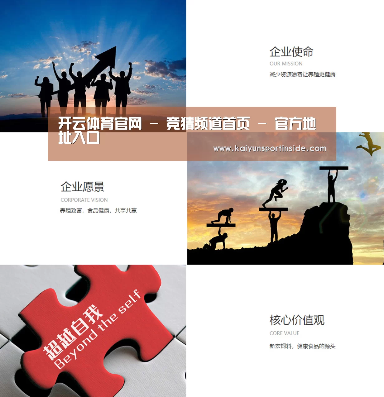 企业文化(图1)