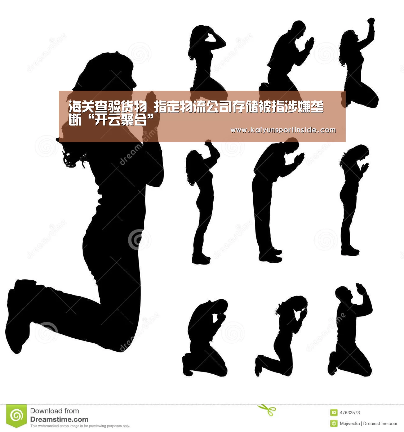 海关查验货物 指定物流公司存储被指涉嫌垄断“开云聚合”(图1) 开云推荐
