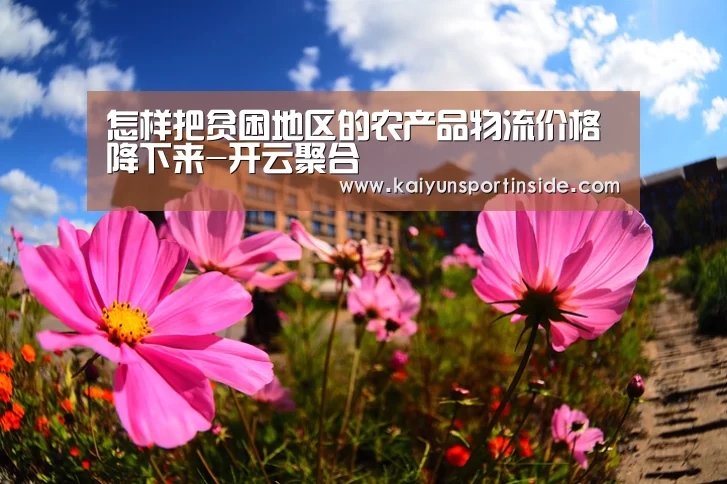 开云热点