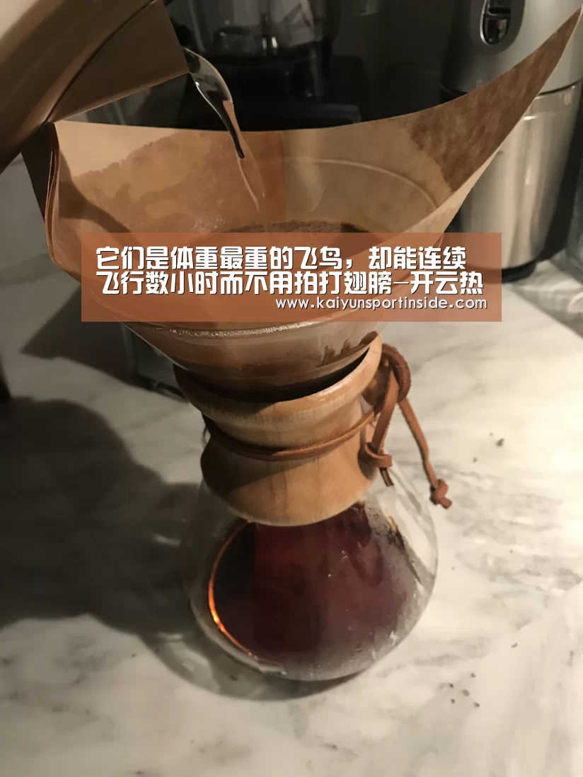 它们是体重最重的飞鸟,却能连续飞行数小时而不用拍打翅膀-开云热点(图1) 开云推荐