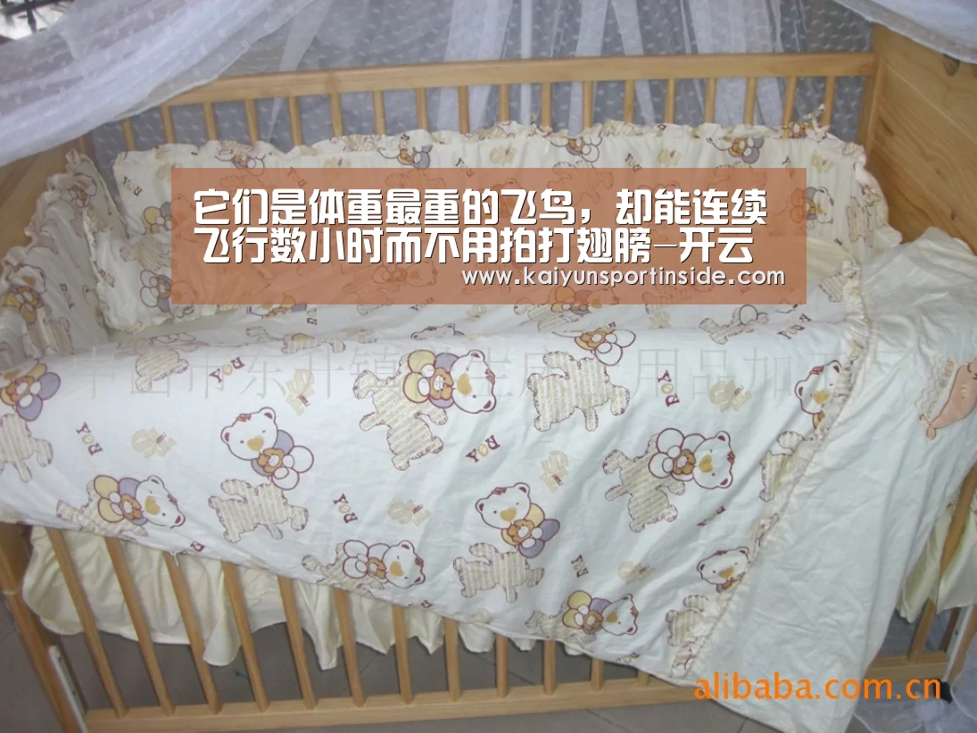 它们是体重最重的飞鸟,却能连续飞行数小时而不用拍打翅膀-开云热点(图3) 开云聚合
