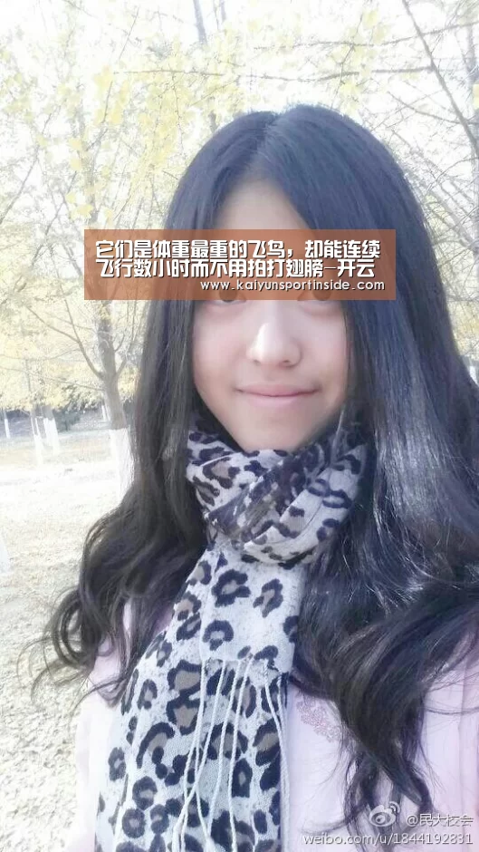 它们是体重最重的飞鸟,却能连续飞行数小时而不用拍打翅膀-开云热点(图4) 开云热点