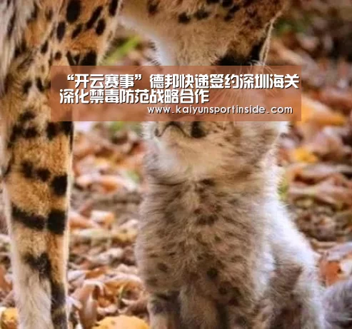 “开云赛事”德邦快递签约深圳海关深化禁毒防范战略合作(图1) 开云推荐