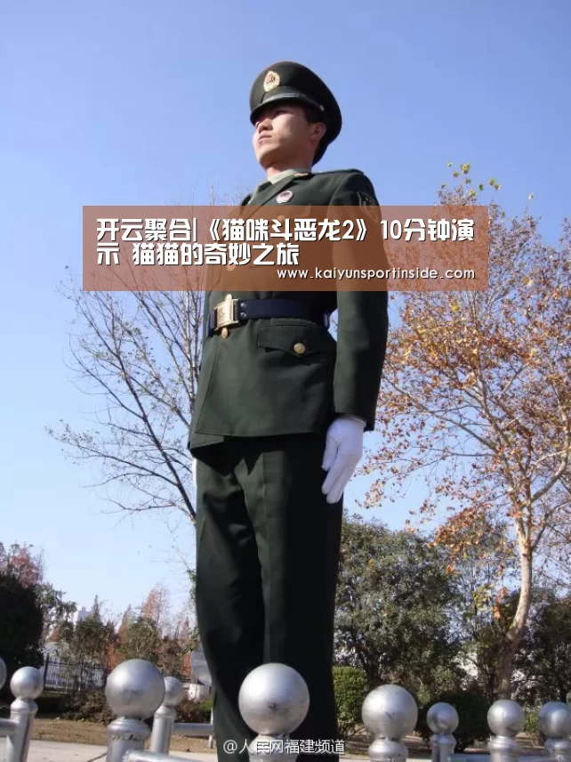 开云赛事